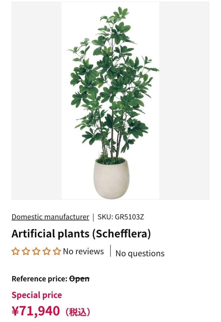 ARTIFICIAL PLANT (Category: Artificial Plants & Flowers) located in Sablan. Submitted by gongonshelley12 (Listing ID 1468319699, Image 3). Description: NEW ARRIVAL!!! FIRST TO PAY, FIX PRICE ORIGINAL JAPAN 6 FT TALL ARTIFICIAL PLANT SOBRANG GANDA NITO SWERTE MAKAKAKUHA JAPAN SURPLUS LIKE NEW CONDITION PARANG TOTOONG PLANT, HINDI HALATA NA ARTIFICIAL GANDA NITO PANG DISPLAY SA HOUSE NIYO, RESTAURANT OR COFFEE SHOP SWERTE MAKAKA MINE, PANG MAYAMAN.