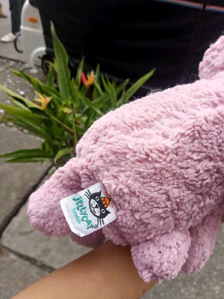 Blossom Jasmine Bunny JELLYCAT (Category: Plushies & Soft Toys) located in Placer. Submitted by whimsythrifts (Listing ID 1468390530, Image 2). Description: - Authentic blossom jasmine jellycat plush bunny in excellent, clean condition - Ultra-soft textured fur with charming floral pattern fabric inside the long floppy ears - Detailed embroidered face with a soft suede nose - Official Jellycat brand tag securely sewn on the back - Well-maintained