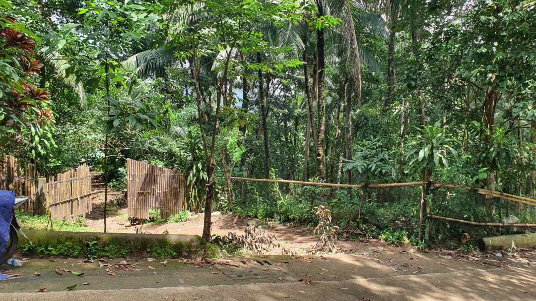 boso boso lot for sale (Category: Lot) located in Caloocan City. Submitted by wiseriver_9fcc38 (Listing ID 1468302396, Image 3). Description: 🌿 DIRECT MOTIVATED SELLER: 1.1-HECTARE PRIME LOT IN BOSO-BOSO, ANTIPOLO! 🌿 Looking for an expansive parcel of land near Metro Manila for a private family estate, eco-resort, glamping site, or agricultural farm? 📍 Exact Location: Carnation Street, Boso-Boso, Brgy. San Jose, Antipolo City, Rizal 📐 Lot Are