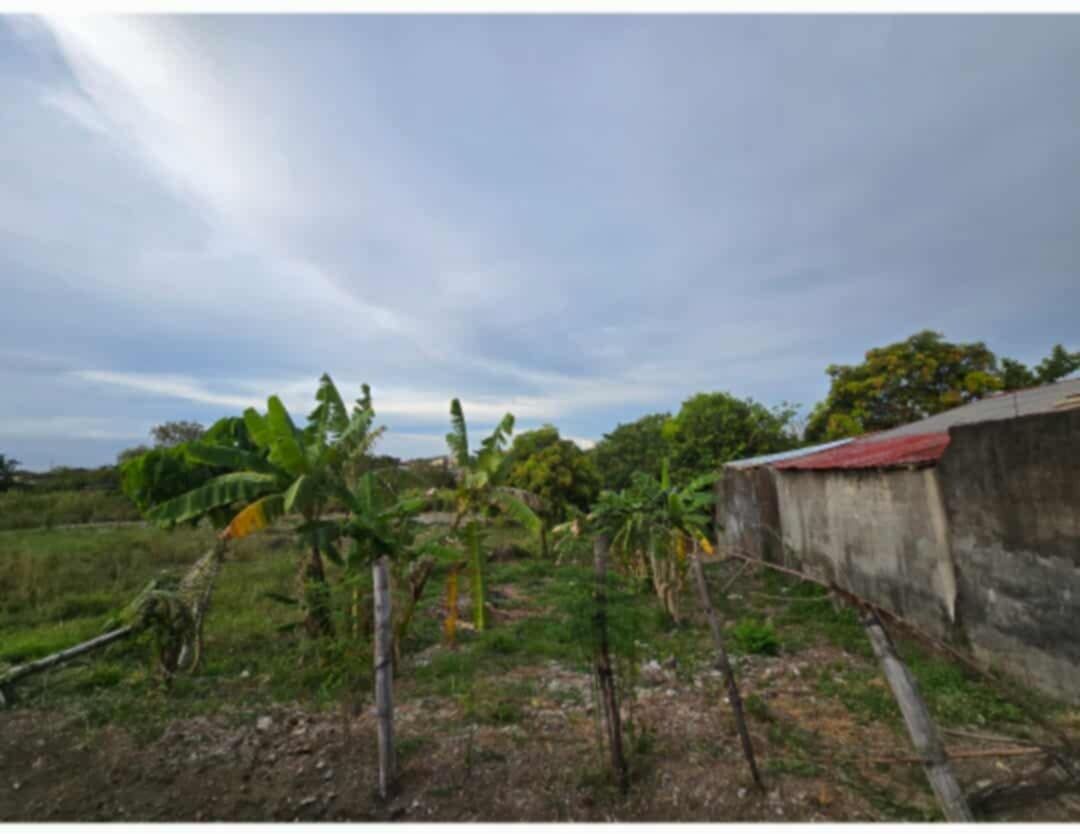 Dasmarinas Cavite Property for lease (Category: Lot) located in Caloocan City. Submitted by marybagobo.26 (Listing ID 1468378904, Image 1). Description: Vacant lot for lease located in Greenbreeze Langkaan 2. Total area is 200 sqm and the rental rate is 150/ sqm negotiable. The property is nearby SM and Robinsons Dasmarinas and it is 10 mins away to Calax. .
