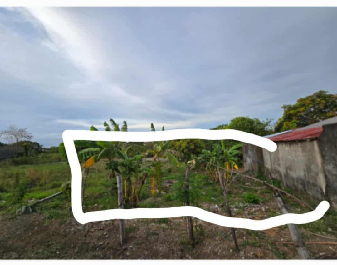 Dasmarinas Cavite Property for lease (Category: Lot) located in Caloocan City. Submitted by marybagobo.26 (Listing ID 1468378904, Image 3). Description: Vacant lot for lease located in Greenbreeze Langkaan 2. Total area is 200 sqm and the rental rate is 150/ sqm negotiable. The property is nearby SM and Robinsons Dasmarinas and it is 10 mins away to Calax. .