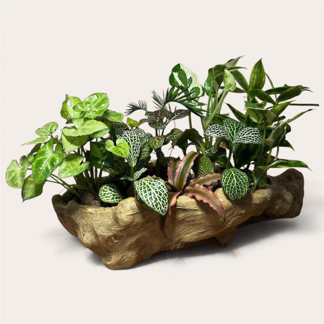 Dish Garden (Category: Artificial Plants & Flowers) located in Makati City. Submitted by renansm (Listing ID 1468407633, Image 2). Description: 🌿 The Potted Tropics 🌿 Style your space. Bring nature home. Pricelist Model 1 - Php 4,000 Model 2 - Php 3,000 Model 3 - Php 3,500 Model 4 - Php 3,500 Location: Makati 🚚 FREE SHIPPING around Makati, Manila, Mandaluyong, Pasay, and selected parts of Quezon City! 📩 DM us now to get yours! Facebook: https