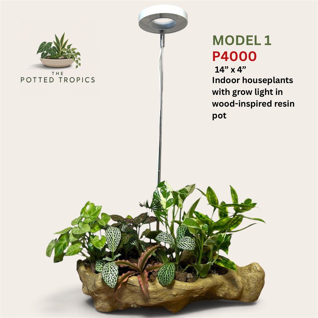 Dish Garden (Category: Artificial Plants & Flowers) located in Makati City. Submitted by renansm (Listing ID 1468407633, Image 1). Description: 🌿 The Potted Tropics 🌿 Style your space. Bring nature home. Pricelist Model 1 - Php 4,000 Model 2 - Php 3,000 Model 3 - Php 3,500 Model 4 - Php 3,500 Location: Makati 🚚 FREE SHIPPING around Makati, Manila, Mandaluyong, Pasay, and selected parts of Quezon City! 📩 DM us now to get yours! Facebook: https
