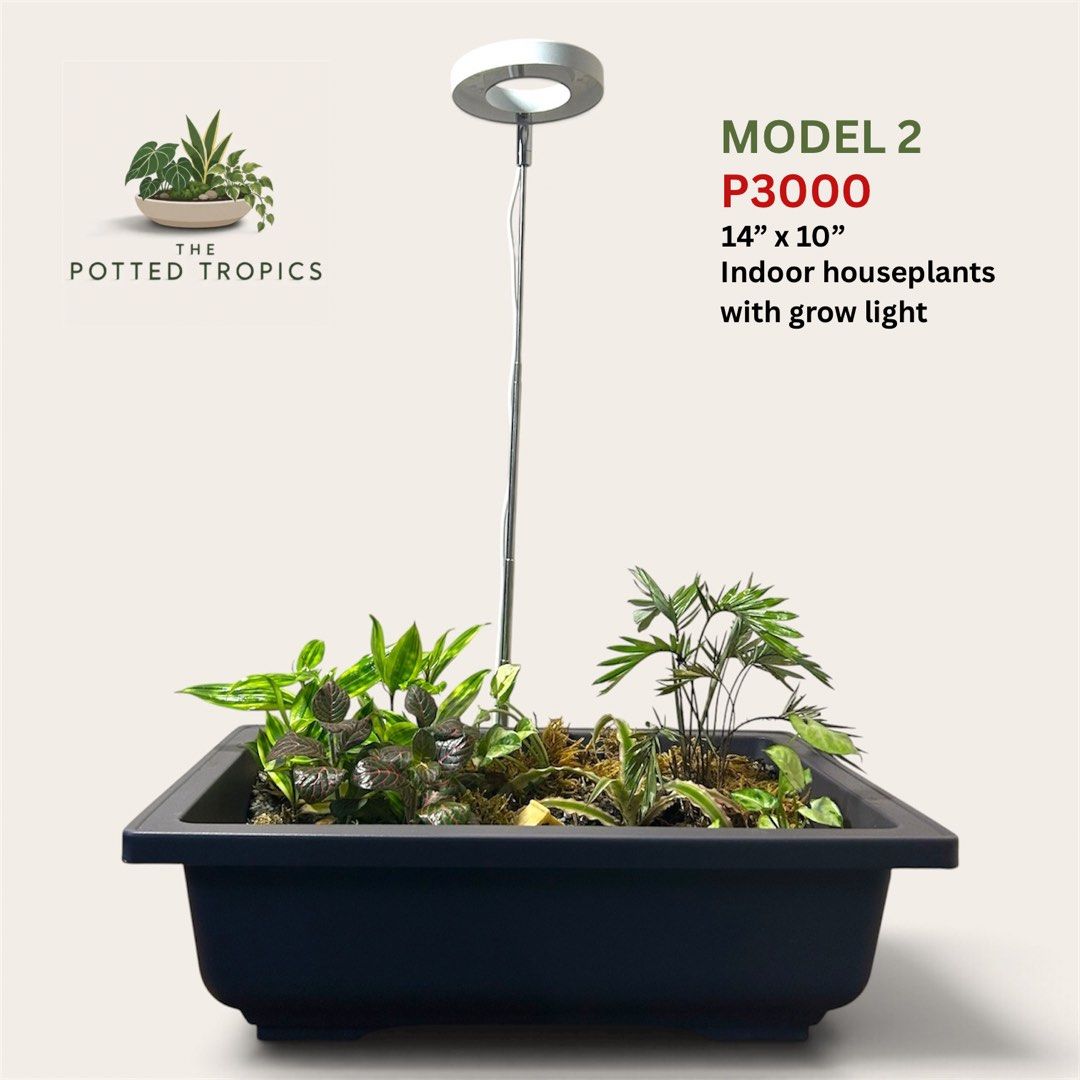 Dish Garden (Category: Artificial Plants & Flowers) located in Makati City. Submitted by renansm (Listing ID 1468407793, Image 1). Description: 🌿 The Potted Tropics 🌿 Style your space. Bring nature home. Pricelist Model 1 - Php 4,000 Model 2 - Php 3,000 Model 3 - Php 3,500 Model 4 - Php 3,500 Location: Makati 🚚 FREE SHIPPING around Makati, Manila, Mandaluyong, Pasay, and selected parts of Quezon City! 📩 DM us now to get yours!.