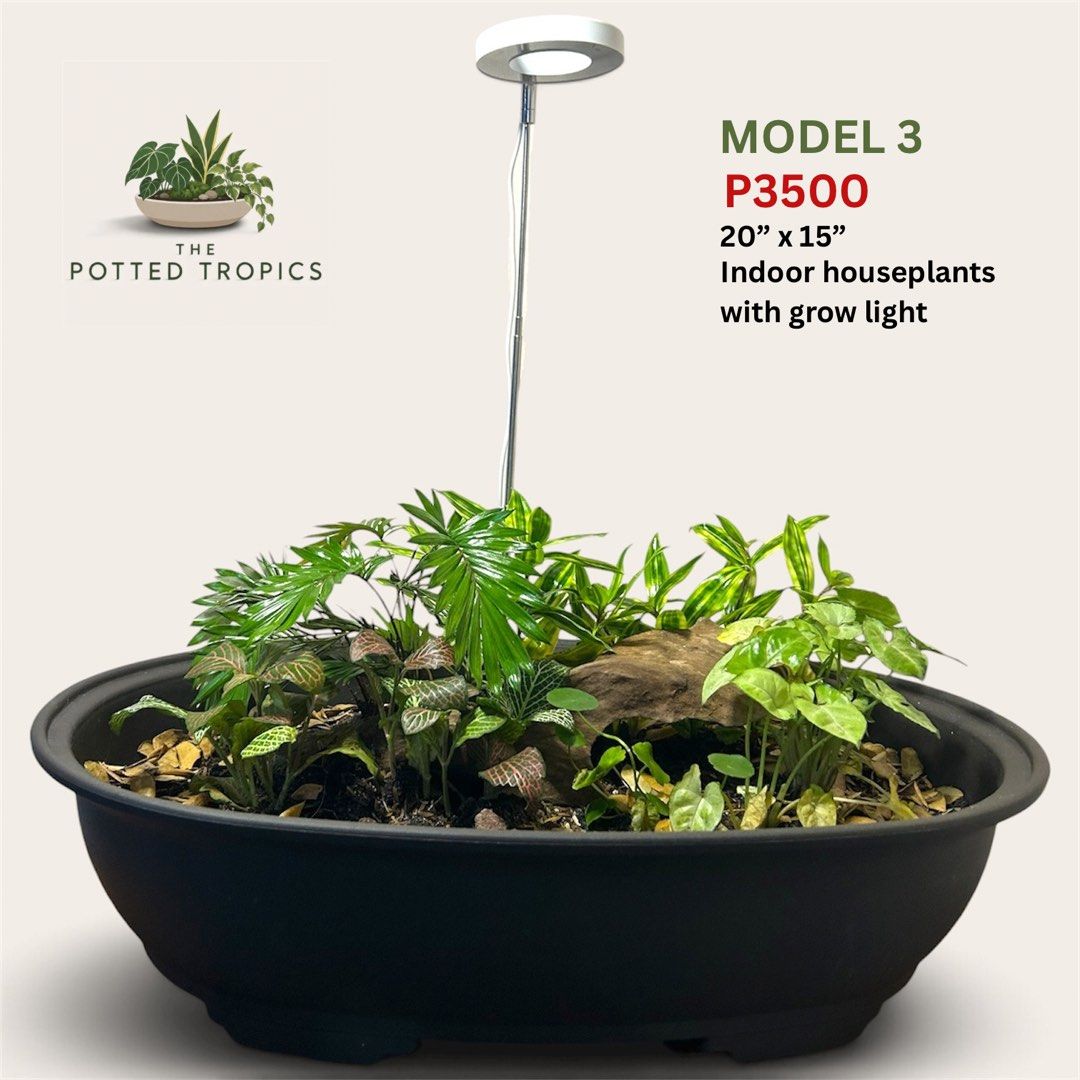 Dish Garden (Category: Artificial Plants & Flowers) located in Makati City. Submitted by renansm (Listing ID 1468407881, Image 1). Description: 🌿 The Potted Tropics 🌿 Style your space. Bring nature home. Pricelist Model 1 - Php 4,000 Model 2 - Php 3,000 Model 3 - Php 3,500 Model 4 - Php 3,500 Location: Makati 🚚 FREE SHIPPING around Makati, Manila, Mandaluyong, Pasay, and selected parts of Quezon City! 📩 DM us now to get yours!.
