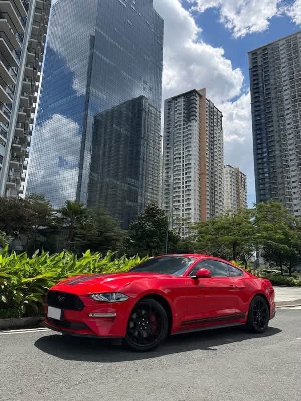 Ford Mustang Ecoboost Auto (Category: Used Cars) located in Manila. Submitted by quality_cars (Listing ID 1468332139, Image 3). Description: ⚠️ Cash / Trade / Financing ⚠️ Ford Mustang Ecoboost 2020 - 2021 acq 2.3L Turbocharged Automatic Transmission 21,xxx mileage Digital Gauge Recaro Seats Drift Xaust Full Exhaust R1 Autotech Performance Air Intake Racing Stripe Installed by Decal Mafia 2 Keys BRANDNEW CONDITION First Owner Acquired Casa Mainta