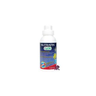 （分類：）位於 。 由 Fishmanshop 提交（商品編號 1468307155，圖片 1）。簡介： 。