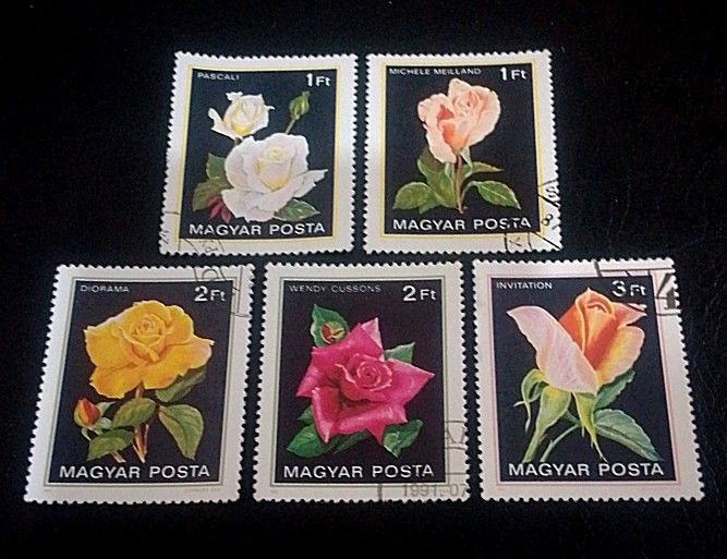 Hungary 1982 - Roses 5v. (used) (Category: Stamps & Prints) located in Balamban. Submitted by pandastampscebu (Listing ID 1468339822, Image 1). Description: Hungary 1982 - Roses 5v. (used) ₱35. Used. Price : ₱35. LAST PRICE POSTED The price is always for the whole set you see on the picture. GENERAL INFO ------------------------ MAXIMUM RESERVATION = 48 HOURS Shipping fee nationwide with J&T is ₱130. Free shipping for orders of ₱1000+ Mode of pay