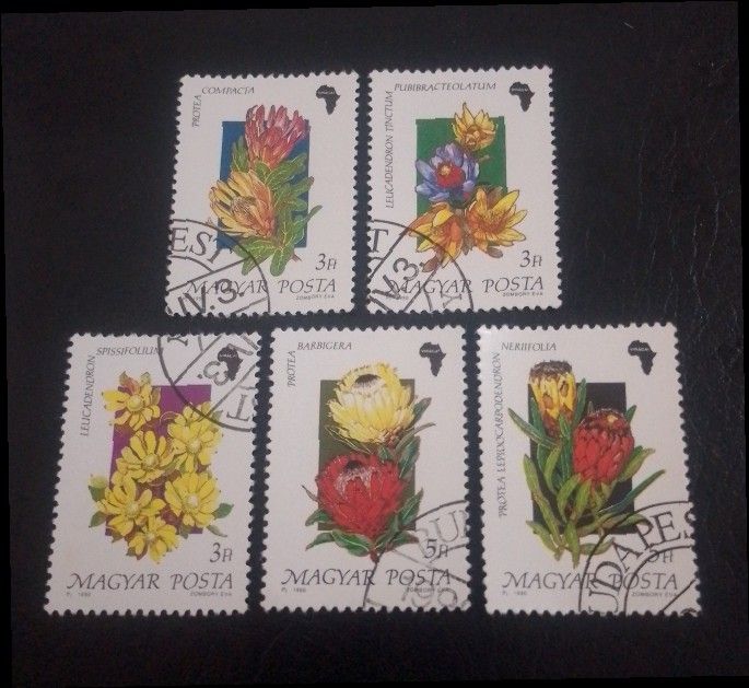 Hungary 1990 - Flowers 5v. (used) (Category: Stamps & Prints) located in Balamban. Submitted by pandastampscebu (Listing ID 1468337855, Image 1). Description: Hungary 1990 - Flowers 5v. (used) ₱35. Used. Price : ₱35. LAST PRICE POSTED The price is always for the whole set you see on the picture. GENERAL INFO ------------------------ MAXIMUM RESERVATION = 48 HOURS Shipping fee nationwide with J&T is ₱130. Free shipping for orders of ₱1000+ Mode of