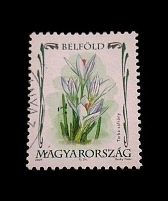 Hungary 2009 - Flowers 1v. (used) (Category: Stamps & Prints) located in Balamban. Submitted by pandastampscebu (Listing ID 1468336415, Image 1). Description: Hungary 2009 - Flowers 1v. (used) ₱20. Used. Price : ₱20. LAST PRICE POSTED The price is always for the whole set you see on the picture. GENERAL INFO ------------------------ MAXIMUM RESERVATION = 48 HOURS Shipping fee nationwide with J&T is ₱130. Free shipping for orders of ₱1000+ Mode of