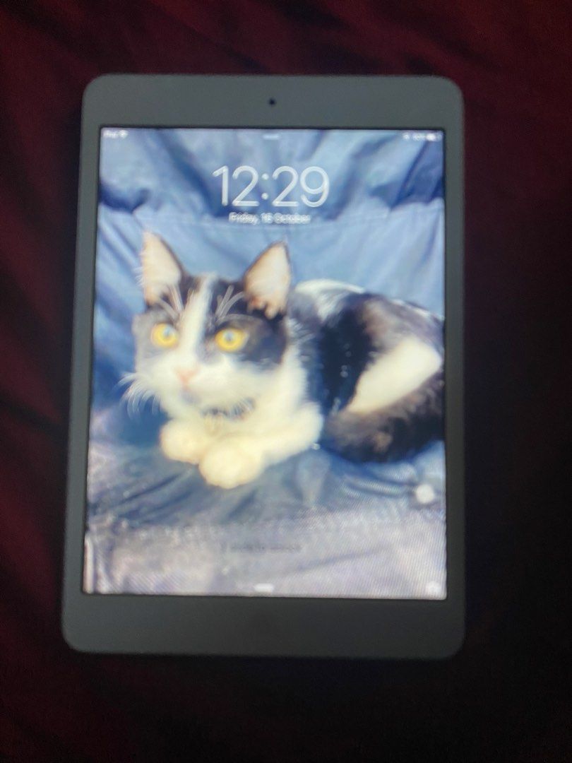 ipad mini 1 (Category: iPad) located in Agdangan. Submitted by dos.xxx (Listing ID 1468323046, Image 1). Description: 12.7 gb for watching only.