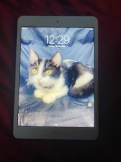 (Category: ) located in . Submitted by dos.xxx (Listing ID 1468323046, Image 1). Description: .
