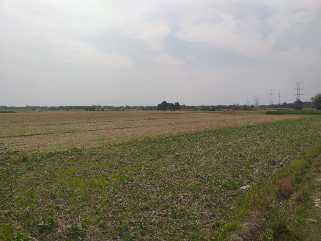 IRIGGATED RICE LAND (Category: Lot) located in Pasig City. Submitted by raymondjuatan0078 (Listing ID 1468479011, Image 2). Description: Lot for sale!! Location: Polong Bugallon,Pangasinan Kind: Irrigated Rice land Titled property Area: 5,899 .5 sqm. Fresh air and good ambiance 💯 Updated tax Perfect for investment opportunity vacation home For viewing available saturday and sunday only CASH BASIS ONLY❗️❗️❗️.