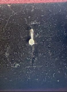 (Category: ) located in . Submitted by cath_mill (Listing ID 1468357362, Image 1). Description: .