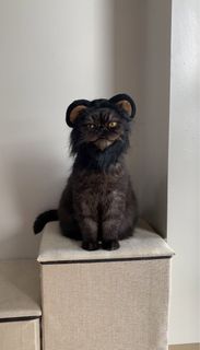 (Category: ) located in . Submitted by meowketplace (Listing ID 1468389337, Image 1). Description: .