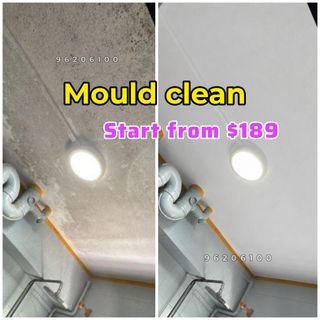 Anti-Mould Treatment  Collection item 2