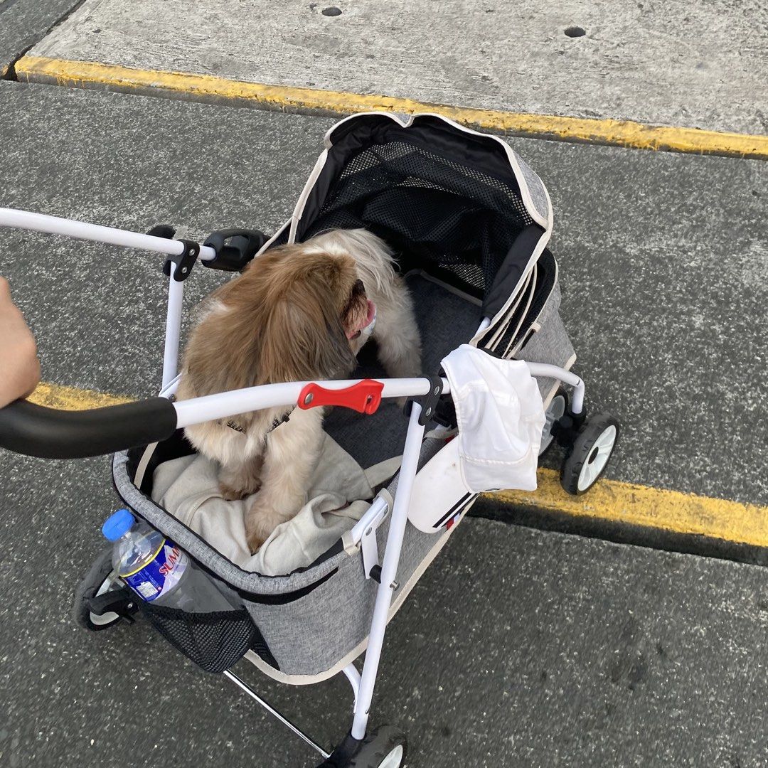 Pet Stroller with Canopy for Dogs & Cats (Category: Homes & Other Pet Accessories) located in Manila. Submitted by jillibeans (Listing ID 1468436554, Image 3). Description: • Brand: Pet Pals by Pet Express • Can fit 2 medium sized dogs (for reference the Shih Tzu in the photo is 5kg) • With a pet flap at the front • With pocket at the back • With canopy • Barely used.