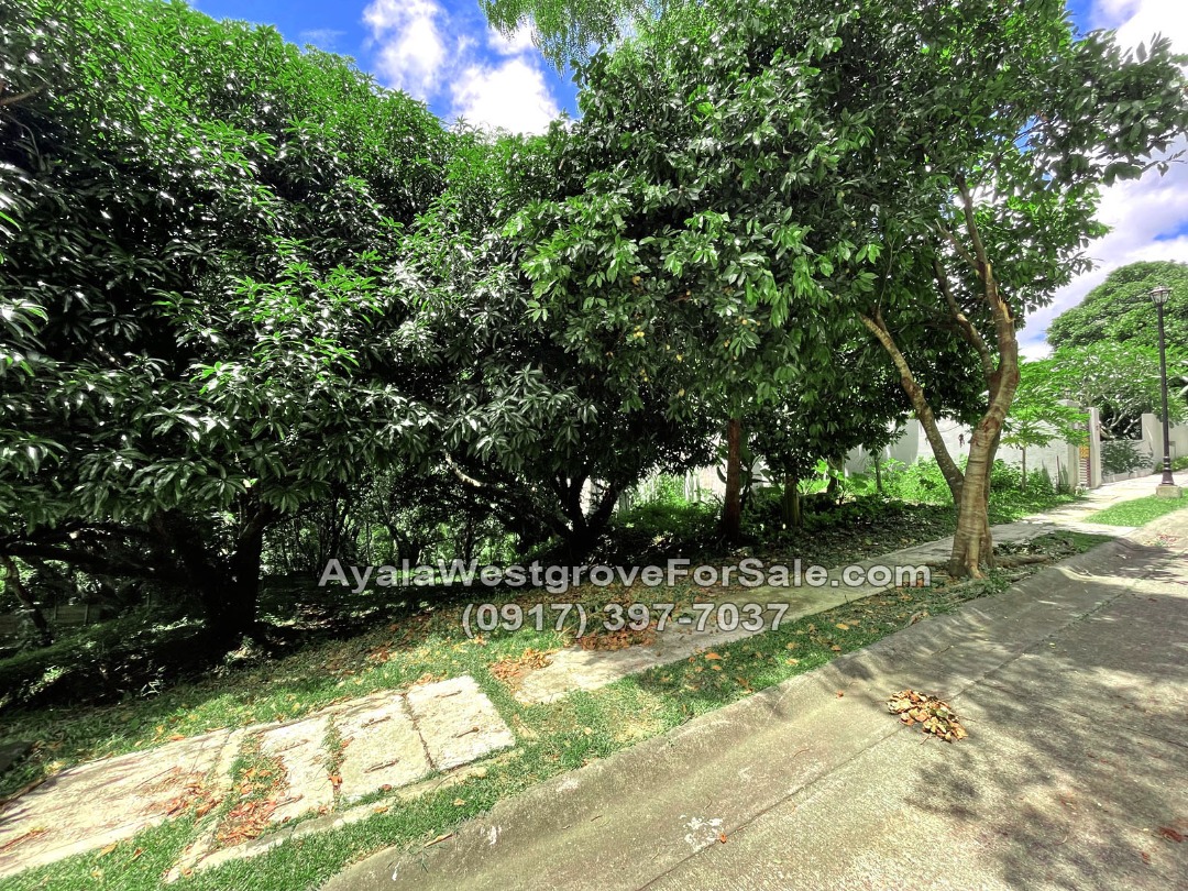 (Category: ) located in . Submitted by mustseeproperties (Listing ID 1468511846, Image 1). Description: .