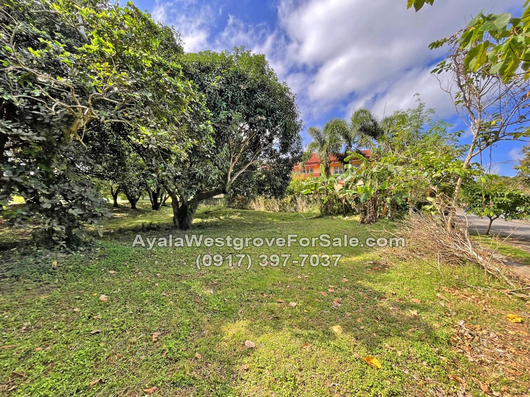 (Category: ) located in . Submitted by mustseeproperties (Listing ID 1468509902, Image 1). Description: .