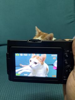 （分類：）位於 。 由 charmwitty96398 提交（商品編號 1468517670，圖片 1）。簡介： 。