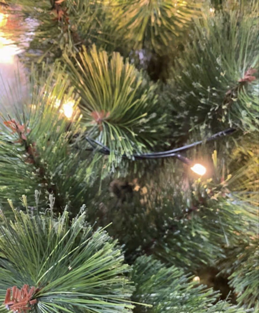 7ft Christmas Pine Tree (Category: Artificial Plants & Flowers) located in Manila. Submitted by prelovedpick.com (Listing ID 1468673252, Image 2). Description: - Tall artificial pine stability - Quick and easy setup for the holiday season - Perfect holiday centerpiece for your living space.