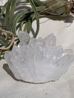 （分類：）位於 。 由 crystal_tree_99 提交（商品編號 1468587014，圖片 1）。簡介： 。