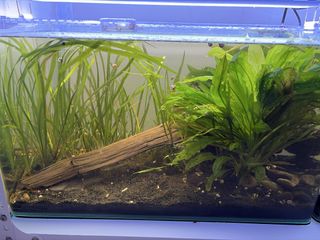 (Category: ) located in . Submitted by elfredlim (Listing ID 1468581843, Image 1). Description: .
