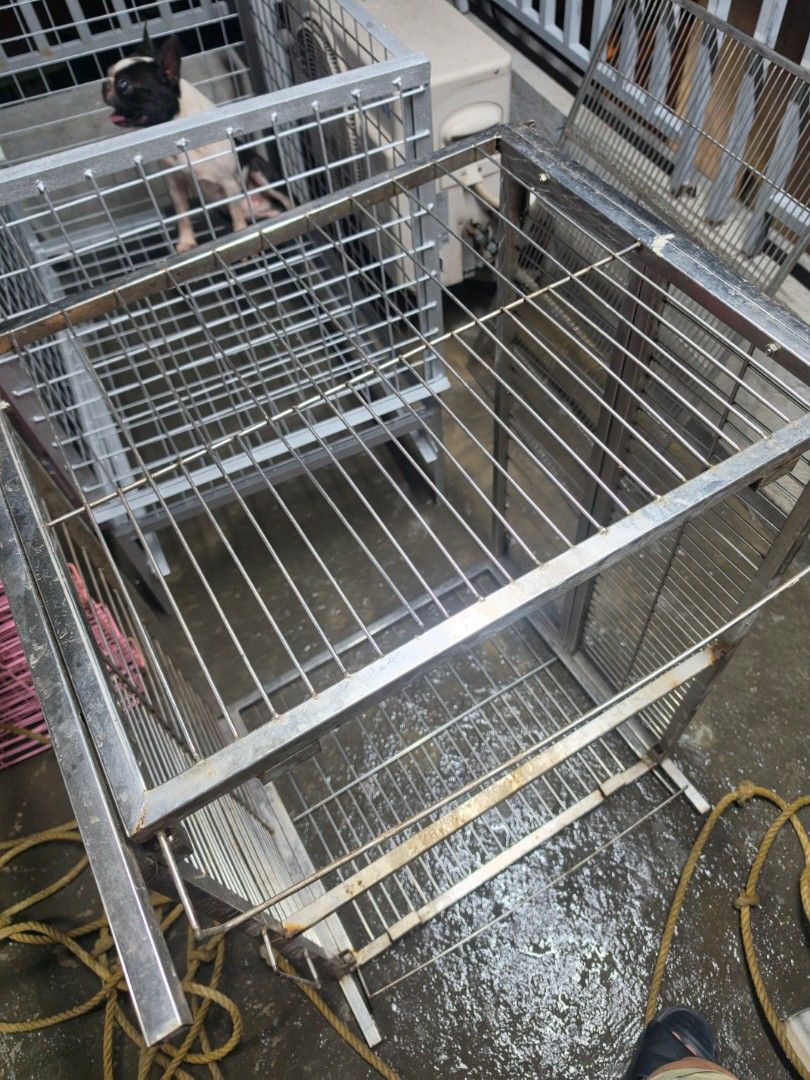 [AS IS] Used Stainless Steel Cage (Category: Food Organization & Storage) located in Makati City. Submitted by heyimkenneth (Listing ID 1468502545, Image 2). Description: - Heavy-duty stainless steel construction - Double decker design with upper and lower compartments - Ideal for dogs and other small animals - Includes mesh flooring and removable pull-out trays for easy cleaning - Sturdy metal wire frame setup - Comes complete with food bowls an
