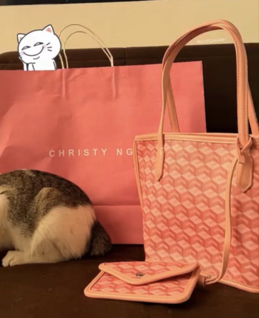 Christy ng pink mini (Category: Shoulder Bags) located in Manila. Submitted by hmbarsaga (Listing ID 1468672670, Image 1). Description: With cloth bag .