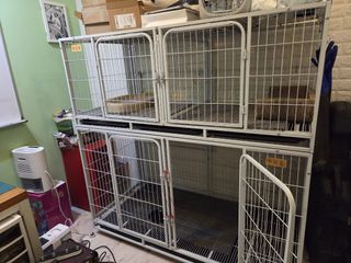 (Category: ) located in . Submitted by miskie (Listing ID 1468556283, Image 1). Description: .