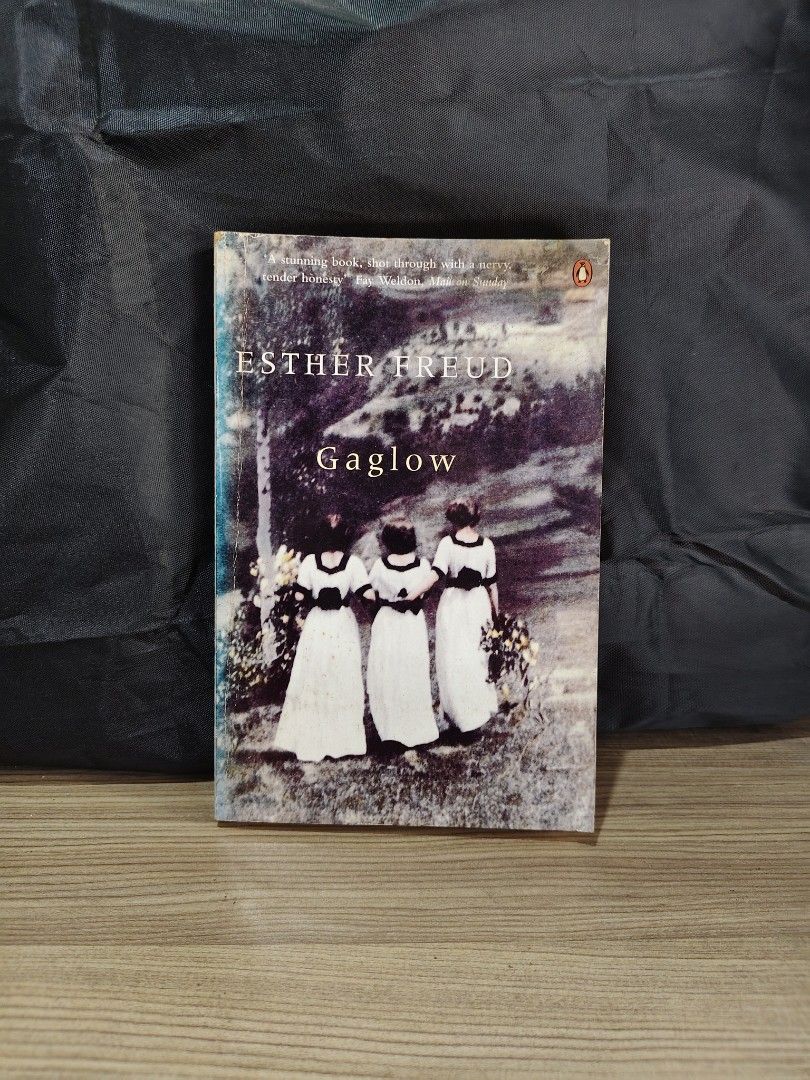 Gaglow by Esther Freud (Category: Storybooks) located in Pasig City. Submitted by bookukayclub (Listing ID 1468648662, Image 1). Description: Details: ⤷ All books are AUTHENTIC. ⤷ 𝗠𝗢𝗣: GCsh / Mya / Mribnk ⤷ 𝗠𝗢𝗗: SCO / Lmove / J&T ⤷ Shipping fees are shouldered by the buyer. ⤷ ₱5 packing fee ⚲ Pasig City, Metro Manila.