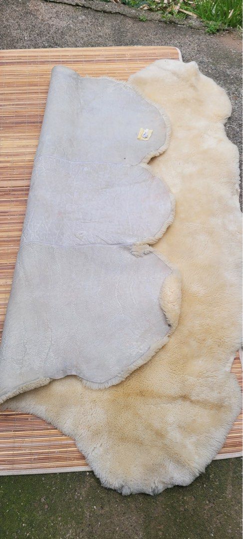 GENUINE NATURAL SHEEPSKIN RUG (Category: Carpets, Mats & Flooring) located in Sablan. Submitted by gongonshelley12 (Listing ID 1468562146, Image 3). Description: 👉👉4000 ONLY👈👈 GENUINE NATURAL SHEEPSKIN RUG ANG LAKI NETO MGA MADAM EXCELLENT CONDITION PO.