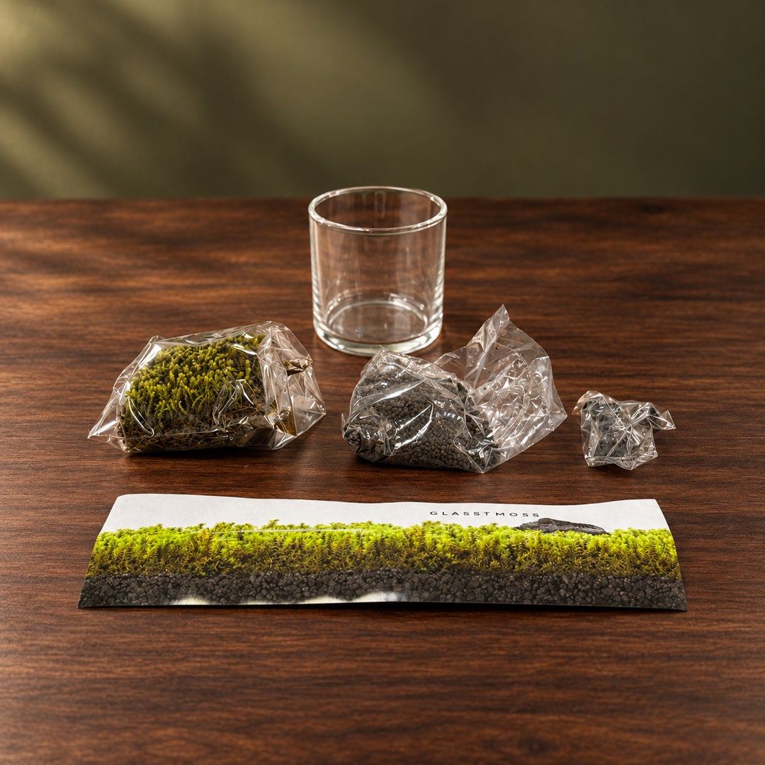 Glasst Moss DIY Terrarium Kit with Glass Container (Category: Plants & Seeds) located in Makati City. Submitted by tshimomura0719 (Listing ID 1468613316, Image 2). Description: - Glasst Moss DIY Terrarium Kit - Includes clear glass cylinder container, green moss, dark substrate soil, and decorative black rocks - Everything individually packed in plastic bags inside the original product box - Perfect for indoor plant lovers and minimalist home dec