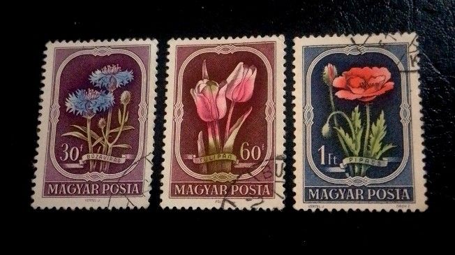 Hungary 1951 - Flora 3v. (used) (Category: Stamps & Prints) located in Balamban. Submitted by pandastampscebu (Listing ID 1468578054, Image 1). Description: Hungary 1951 - Flora 3v. (used) ₱45. Used. Price : ₱45. LAST PRICE POSTED The price is always for the whole set you see on the picture. GENERAL INFO ------------------------ MAXIMUM RESERVATION = 48 HOURS Shipping fee nationwide with J&T is ₱130. Free shipping for orders of ₱1000+ Mode of pay