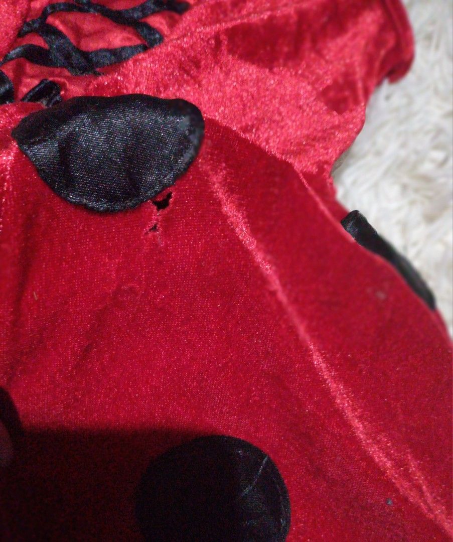 Ladybug Dress Costume 5y (Category: Babies & Kids Fashion) located in Quezon City. Submitted by kyleenscloset (Listing ID 1468690975, Image 3). Description: ♡ladybug dress | costume ♡tutu dress style ♡super nice when worn ♡5y on tag ♡small hole on skirt part .