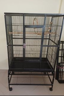 (Category: ) located in . Submitted by amy101010 (Listing ID 1468536720, Image 1). Description: .
