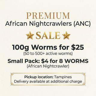 (Category: ) located in . Submitted by sg__sales (Listing ID 1407154498, Image 1). Description: .