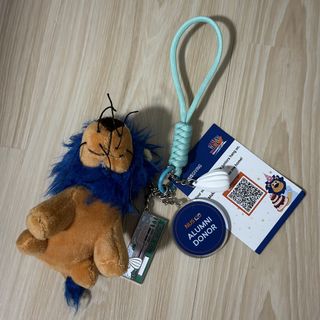 Graduation soft toy NUS Commencement Class of 2026 Plush Toy Set, Toys ...