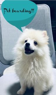(Category: ) located in . Submitted by animals_all (Listing ID 1468505167, Image 1). Description: .