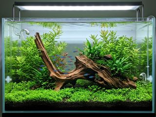 (Category: ) located in . Submitted by elmohi5 (Listing ID 1468533733, Image 1). Description: .