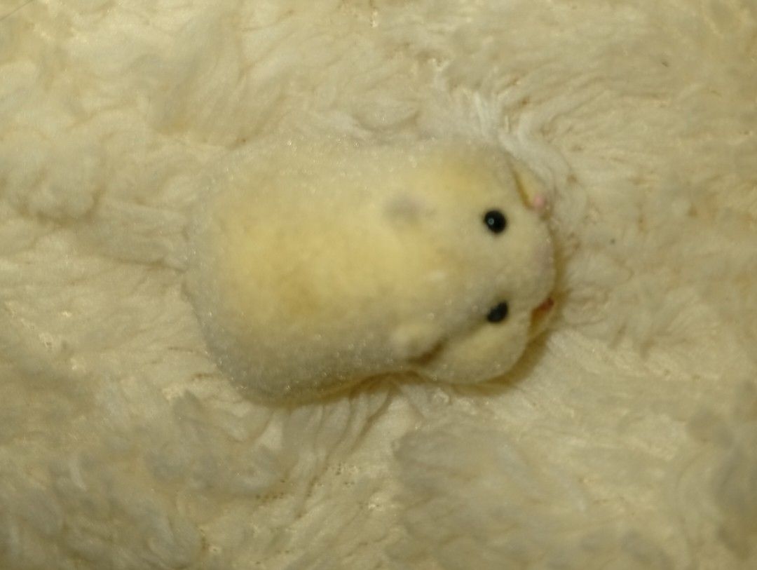 Realistic Hamster (Category: Action & Battle Toys) located in Tarlac. Submitted by kaizer_rabbit (Listing ID 1468634650, Image 3). Description: Product Name: ケーブルかじかじハムスター きゅきゅ (Cable Kajikaji Hamster Kyukyu) Yoyakunow Brand/Manufacturer: エール (Yell World) Yahoo!ショッピング Model/Specific Design: ねそべり キンクマ (Lying Down Golden Hamster) メルカリ Origin: Japan (Gashapon/Capsule Toy) Kindly DM me if interested :)).
