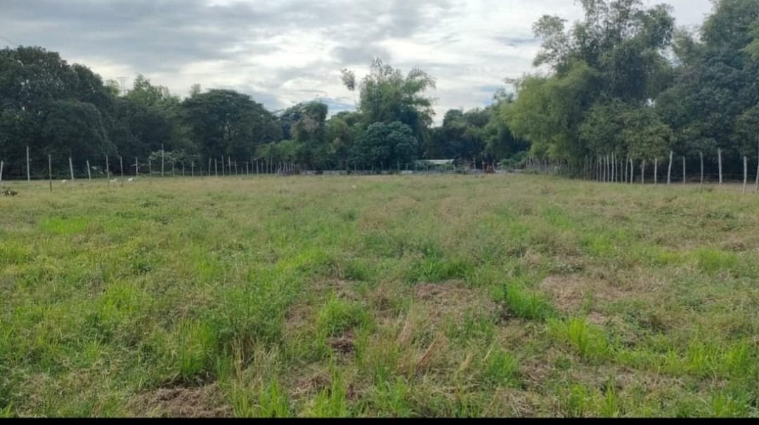 Ruch Sale (Category: Commercial) located in Caloocan City. Submitted by nobleowl.2890c6 (Listing ID 1468598207, Image 3). Description: RUSH SALE: DIRECT OWNER – READY TO TRANSFER 🚨 Prime Residential / Commercial / Agricultural Property in Brgy. Bacnar, San Carlos City, Pangasinan Looking for a hassle-free, investment-ready property with complete facilities and expansion potential in San Carlos City? This multi-purpose lot in Brgy. Bacnar is full
