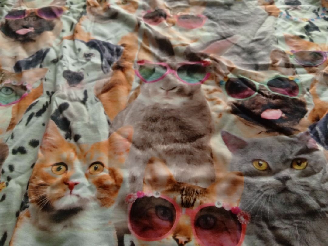 Sleepwear US BNEWTAG (Cats theme) (Category: Undergarments & Loungewear) located in Los Banos. Submitted by mania-62906 (Listing ID 1468553438, Image 2). Description: BNEWTAG. US small.