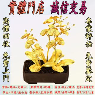 （分類：）位於 。 由 goldenlion.dda768 提交（商品編號 1468741101，圖片 1）。簡介： 。