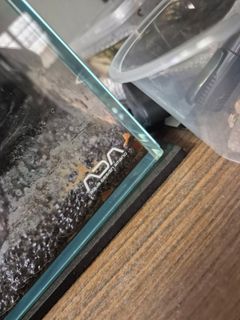 (Category: ) located in . Submitted by abujak (Listing ID 1468731770, Image 1). Description: .