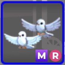 Adopt Me | MR Turtledoves (Category: In-Game Products) located in Marikina City. Submitted by swouju (Listing ID 1468903149, Image 1). Description: Sold per piece !! 80+ proofs on Discord ^__^ DM for inquiries 💌.