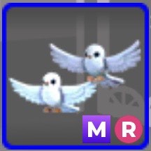 (Category: ) located in . Submitted by swouju (Listing ID 1468903149, Image 1). Description: .