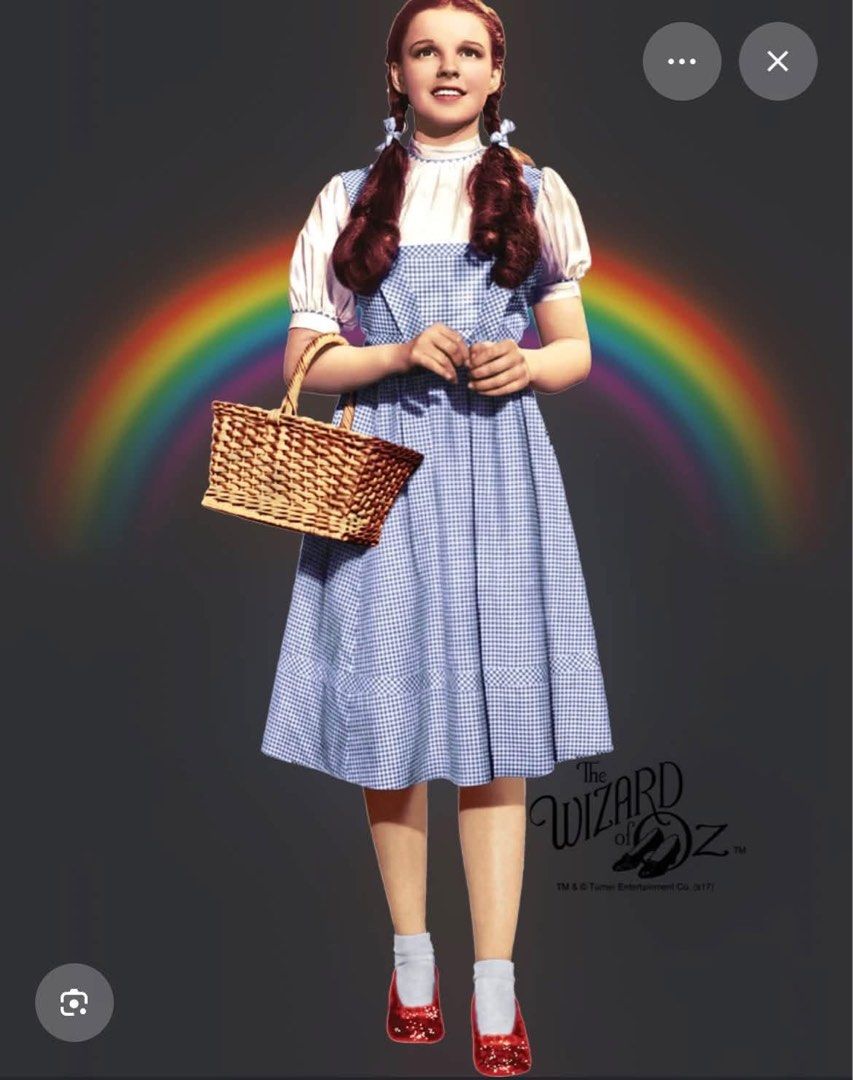 Adult Oz Costume (Category: Dresses) located in Caloocan City. Submitted by discusonlineshop (Listing ID 1468717827, Image 1). Description: medium.