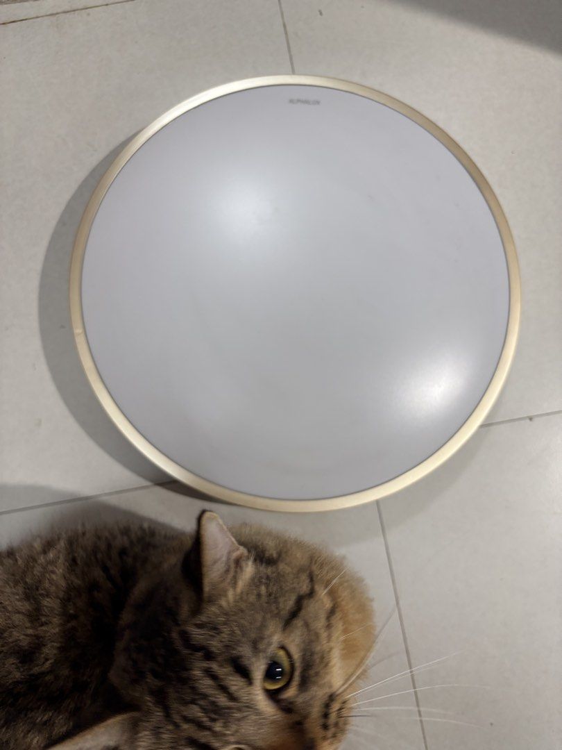 Alphalux Ceiling Light Cover (Category: Lighting) located in Marikina City. Submitted by thrifty_trinkets_by_anais (Listing ID 1468827241, Image 2). Description: 🌸 Selling own preloved/brand new items for less - EVERYTHING is negotiable as long as REASONABLE in price 🤗 🙏🏻 Please also check my account for more marked down items 🫶 📍Marikina near S&R/Uniqlo 💳 Maribank/Maya/Gcash 🏍️ Grab/Lalamove/J&T (by schedule) 🗓️ Offers/Reservations will