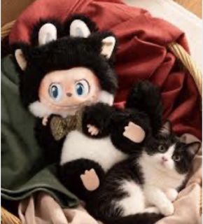 BNIF POPMART *SECRET* LABUBU THE MONSTERS CATS MAIN COONE, Toys ...